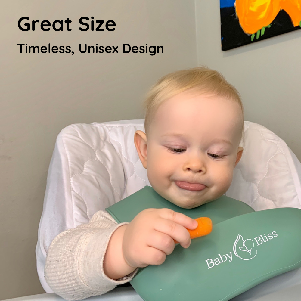 Silicone Baby Bibs (Pack of 2)